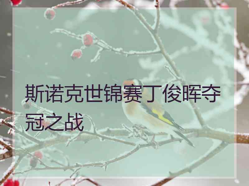 斯诺克世锦赛丁俊晖夺冠之战