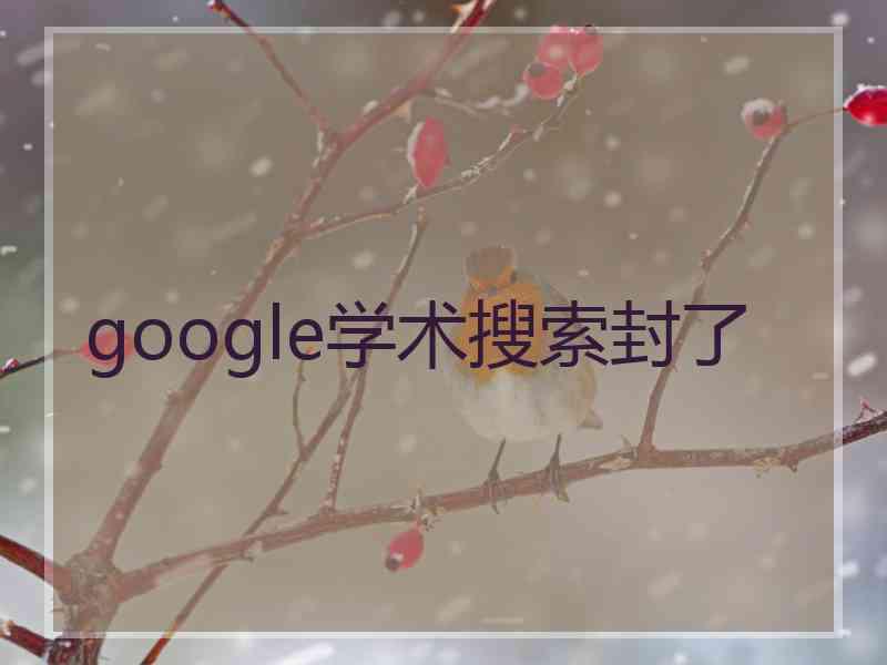 google学术搜索封了