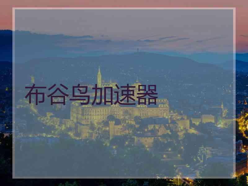 布谷鸟加速器