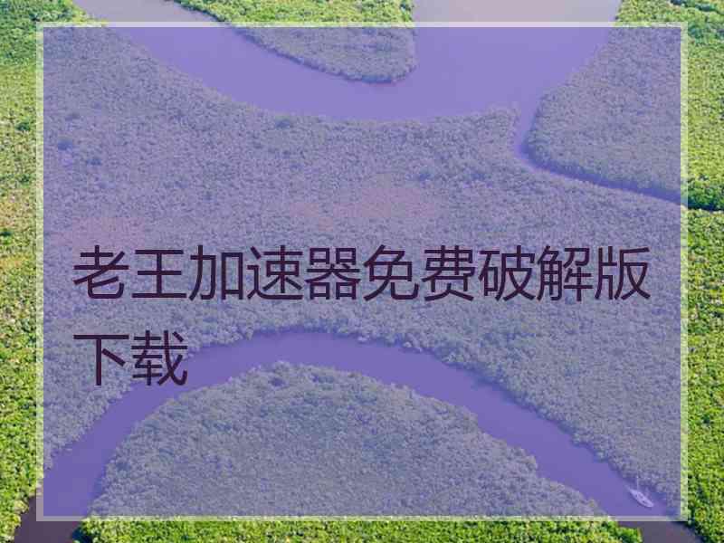 老王加速器免费破解版下载