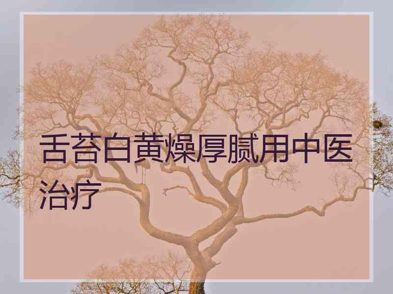 舌苔白黄燥厚腻用中医治疗
