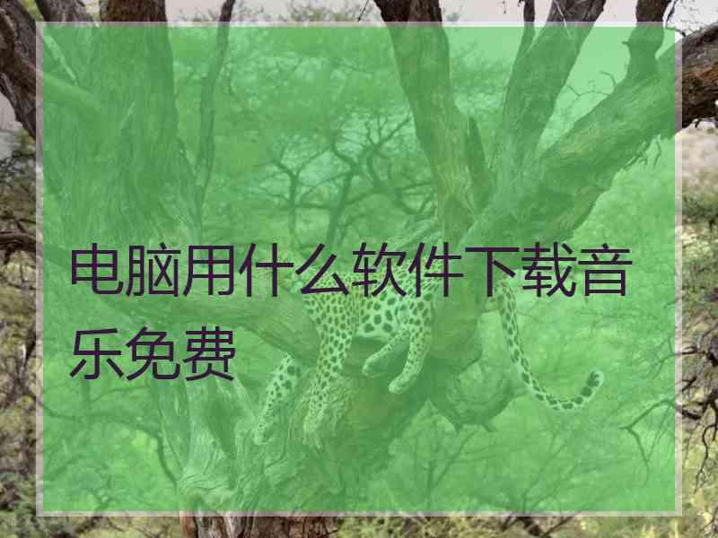 电脑用什么软件下载音乐免费