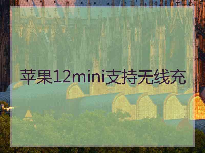 苹果12mini支持无线充