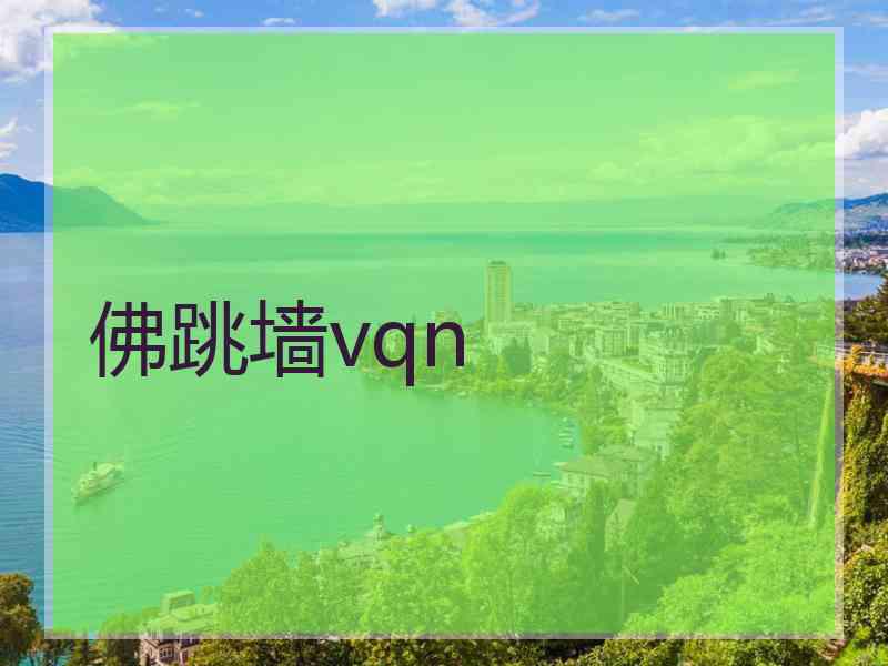佛跳墙vqn