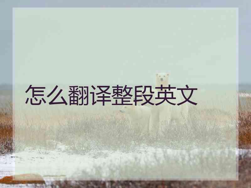怎么翻译整段英文