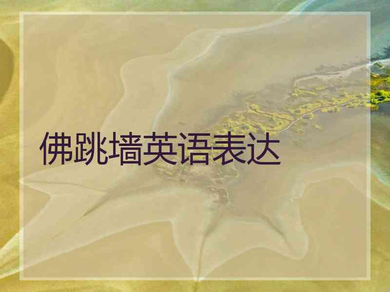 佛跳墙英语表达