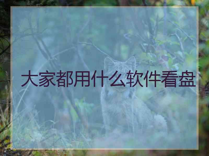 大家都用什么软件看盘