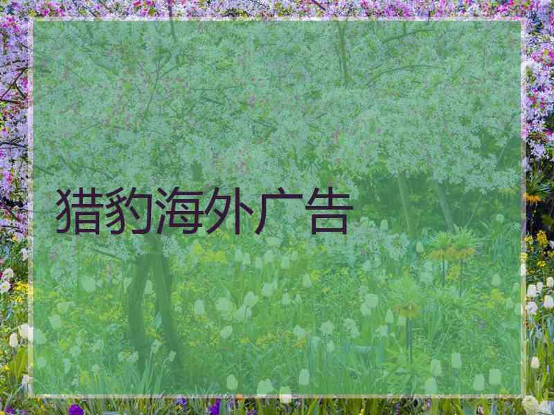 猎豹海外广告