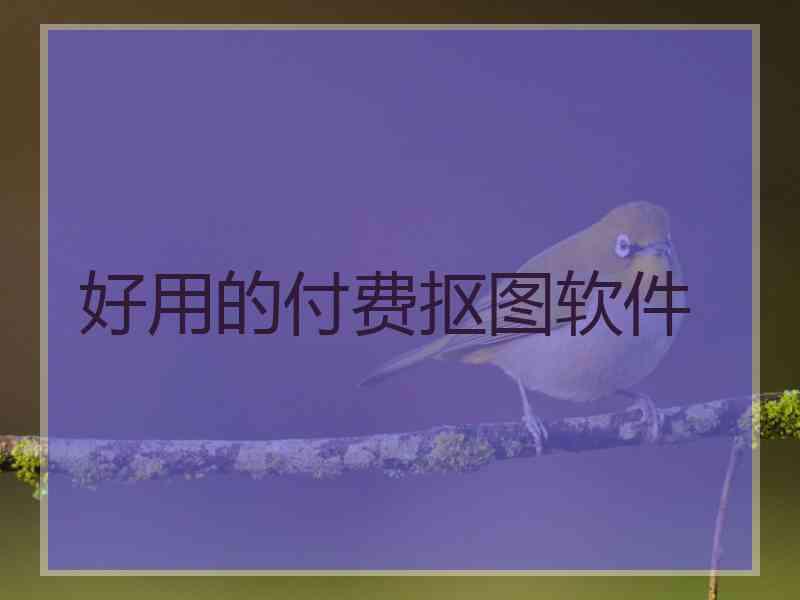 好用的付费抠图软件