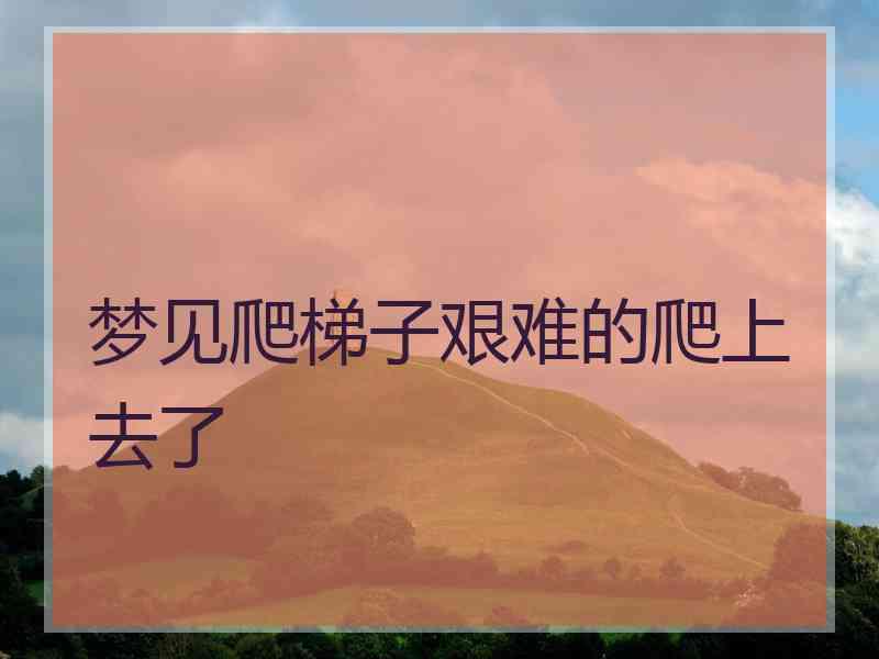 梦见爬梯子艰难的爬上去了
