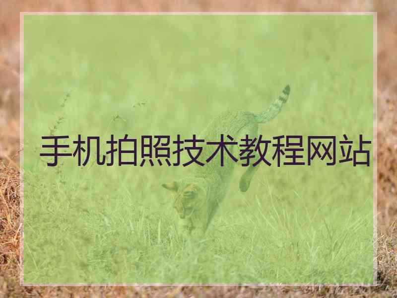 手机拍照技术教程网站