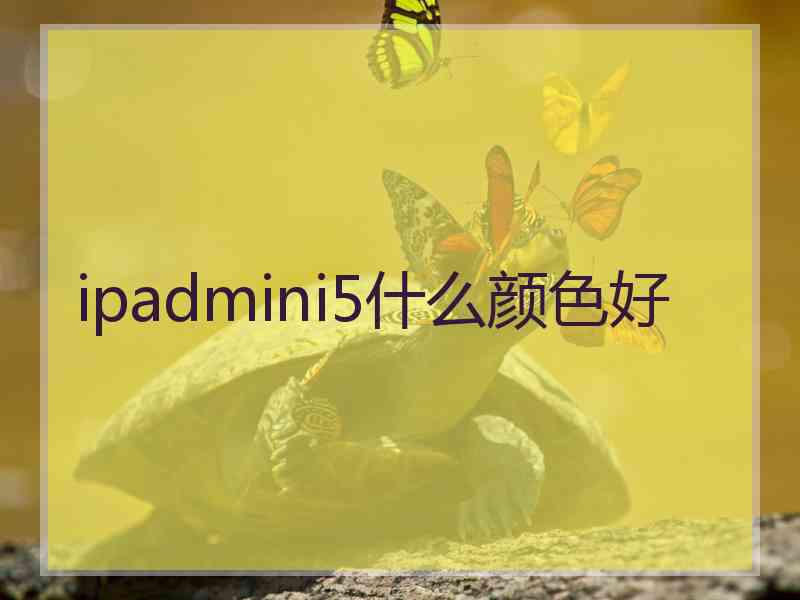 ipadmini5什么颜色好