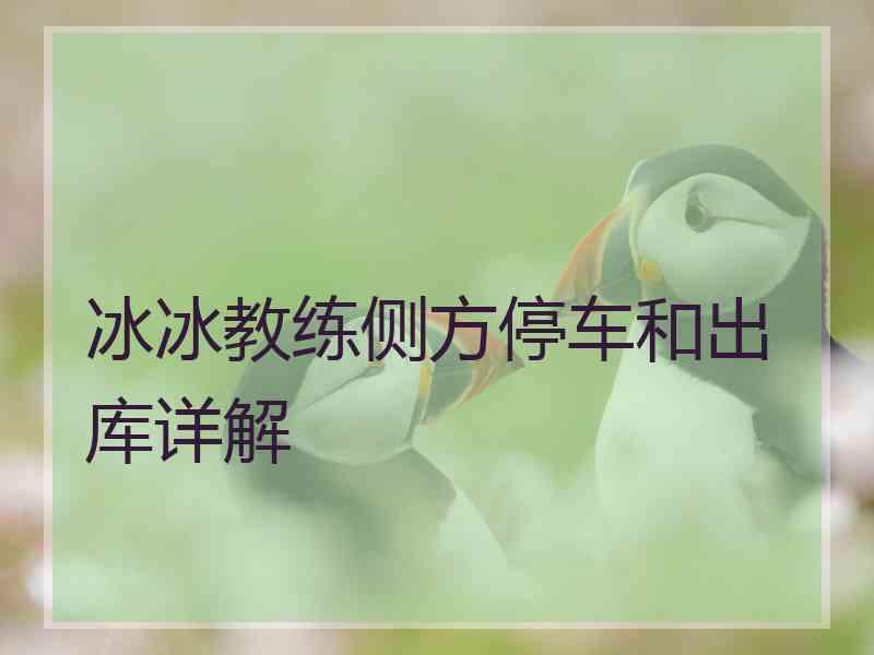 冰冰教练侧方停车和出库详解