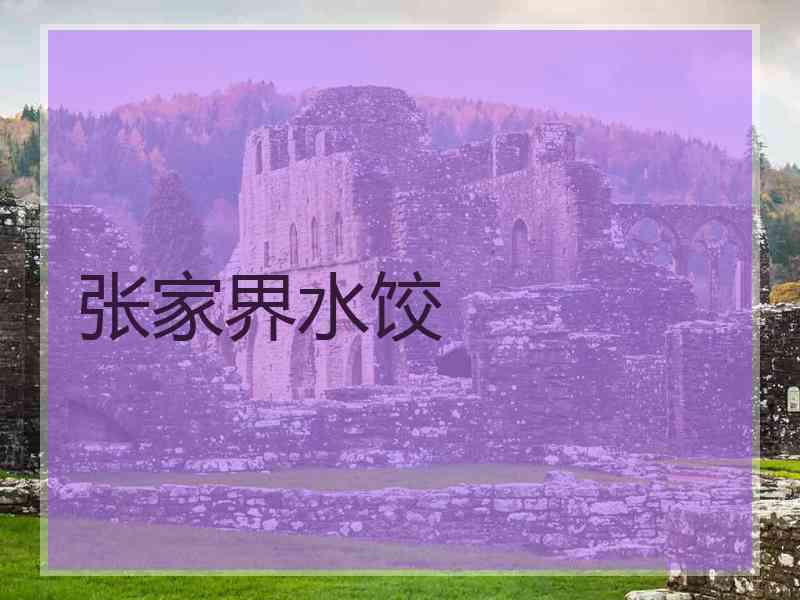 张家界水饺
