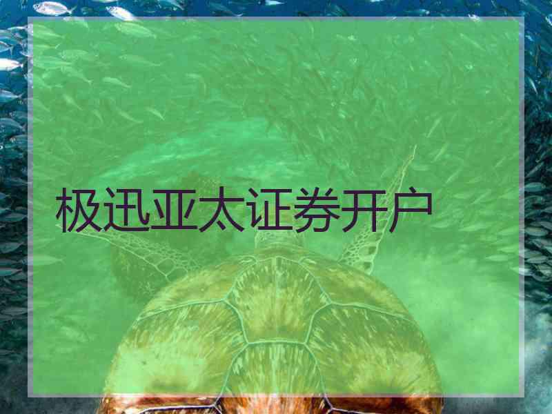 极迅亚太证券开户