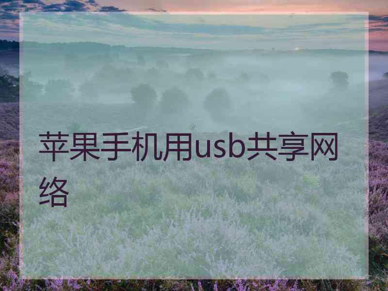 苹果手机用usb共享网络