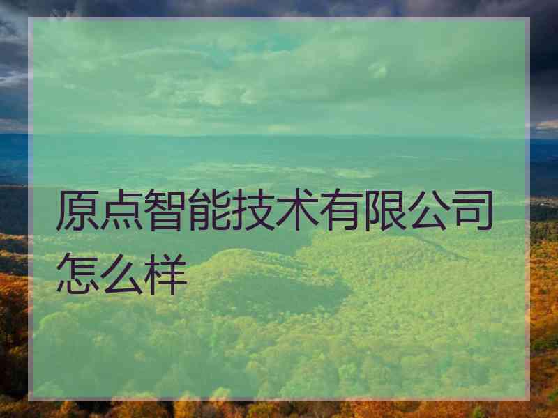 原点智能技术有限公司怎么样