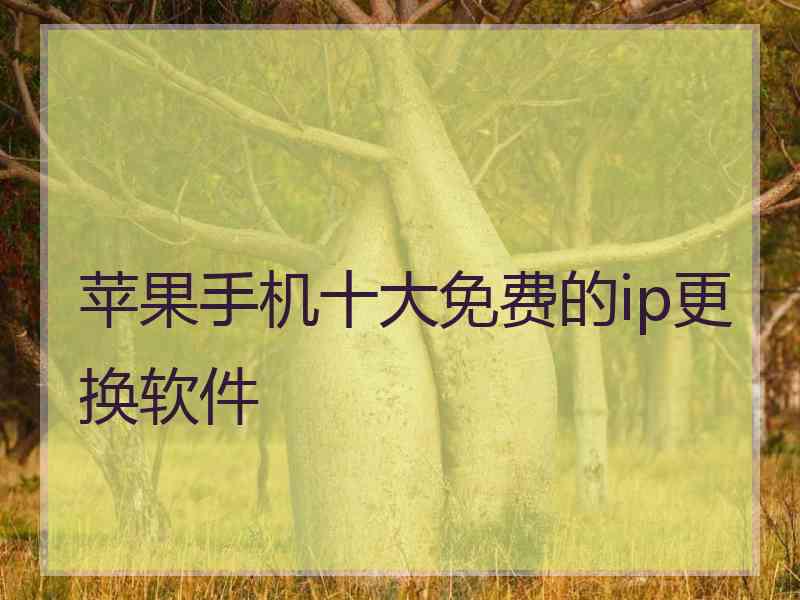 苹果手机十大免费的ip更换软件