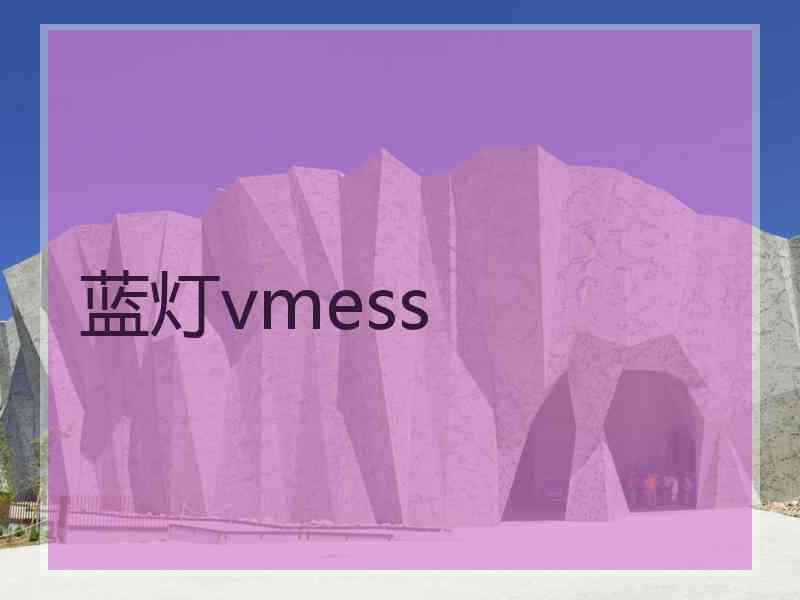 蓝灯vmess