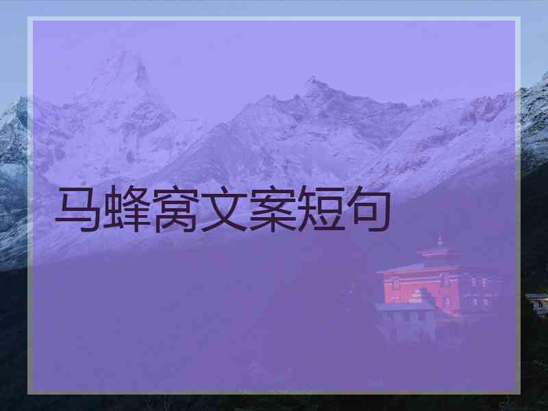 马蜂窝文案短句