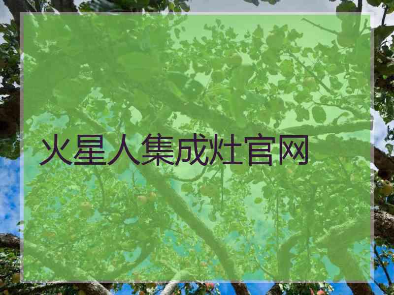 火星人集成灶官网