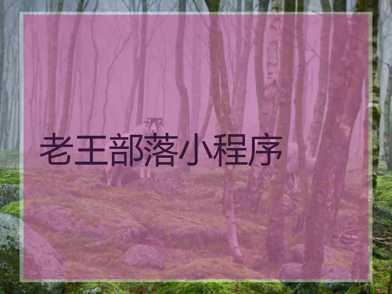 老王部落小程序