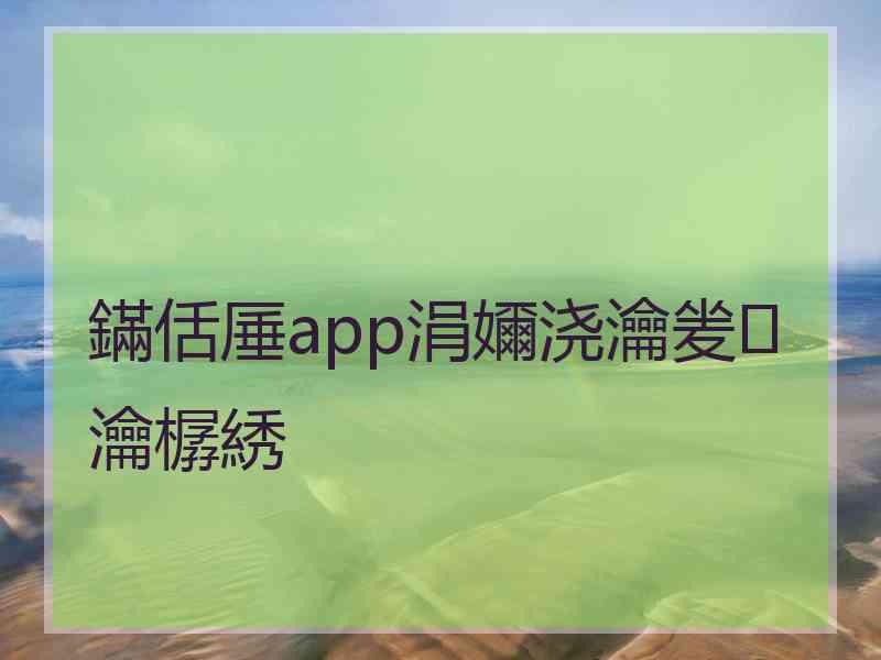 鏋佸厜app涓嬭浇瀹夎瀹樼綉