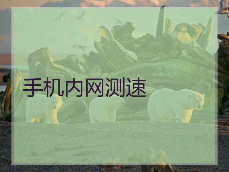手机内网测速