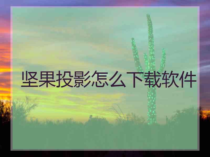 坚果投影怎么下载软件