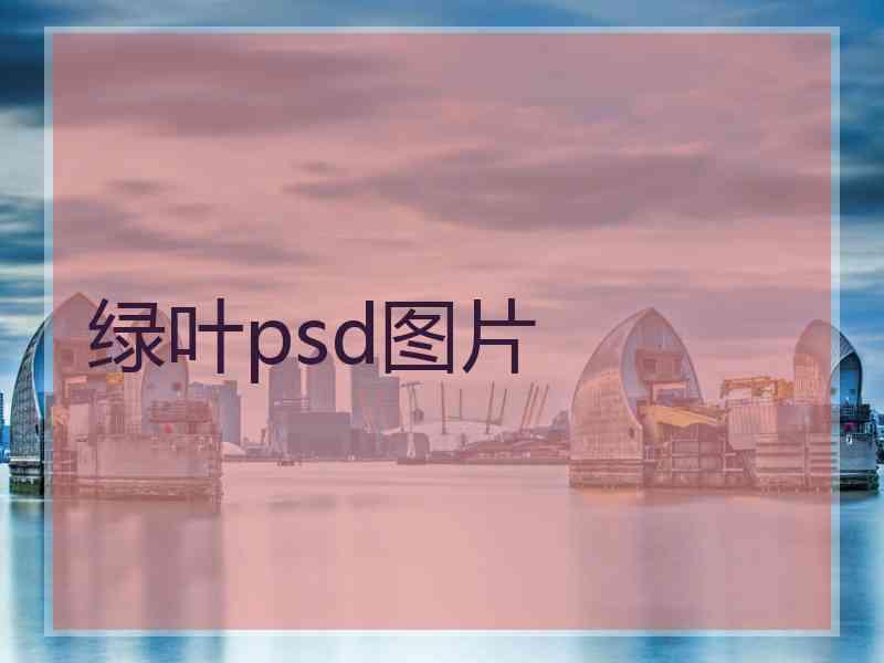 绿叶psd图片