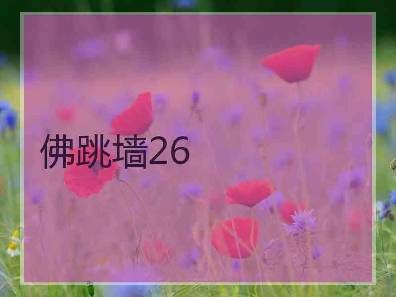 佛跳墙26