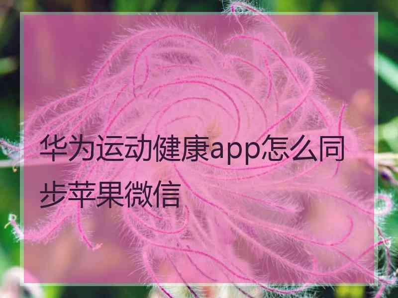 华为运动健康app怎么同步苹果微信