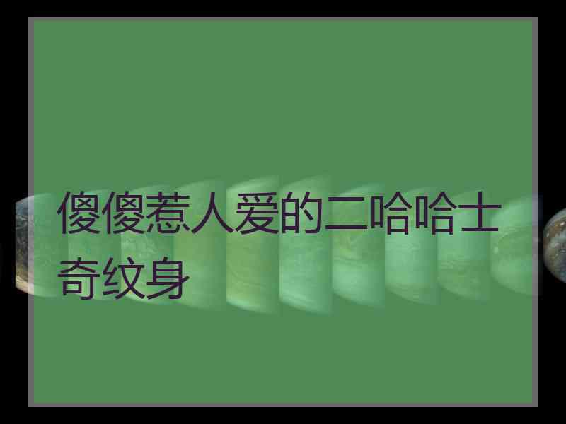 傻傻惹人爱的二哈哈士奇纹身