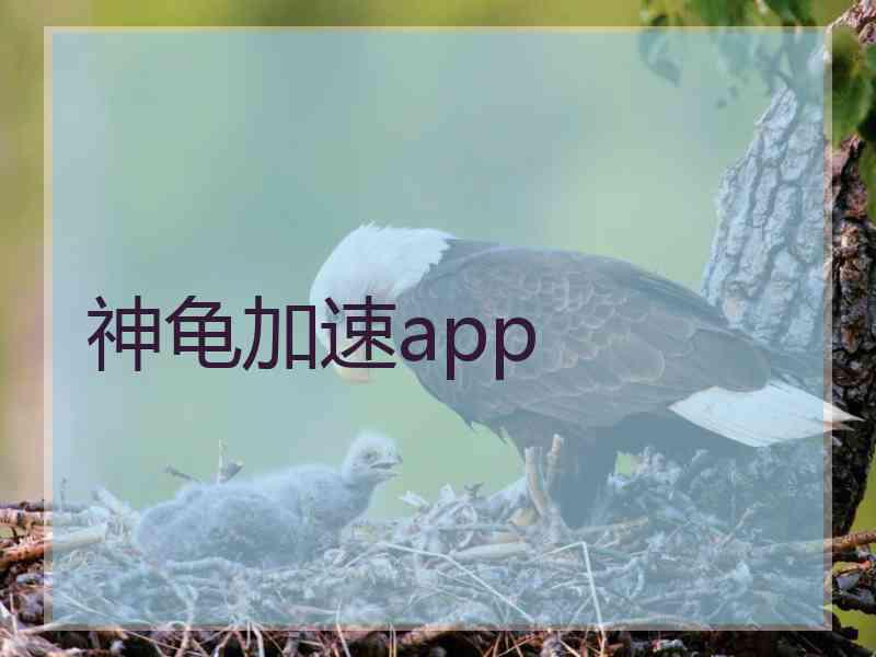 神龟加速app