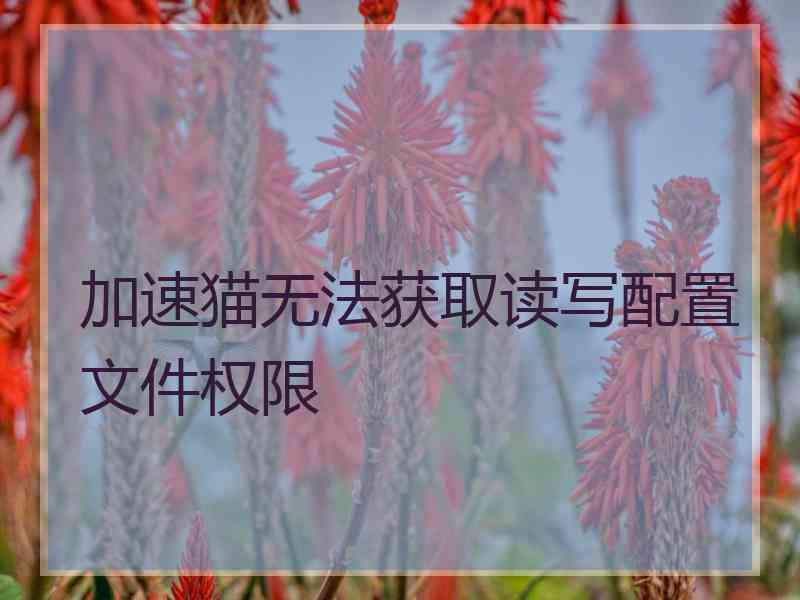 加速猫无法获取读写配置文件权限