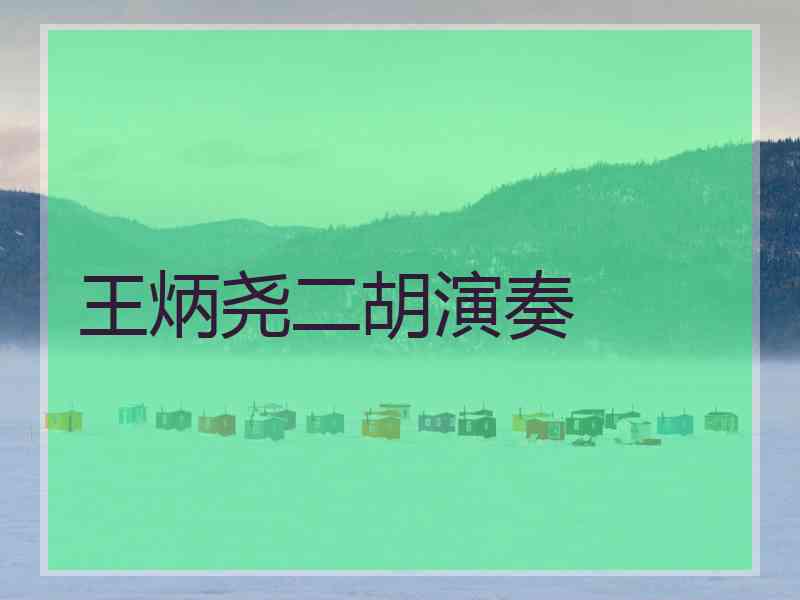 王炳尧二胡演奏