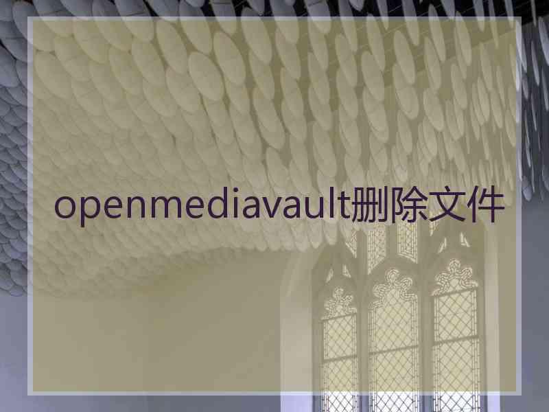 openmediavault删除文件