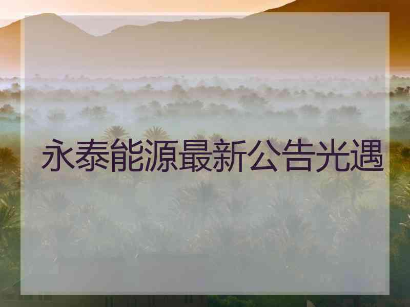 永泰能源最新公告光遇