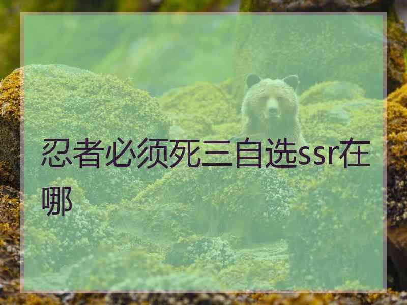 忍者必须死三自选ssr在哪