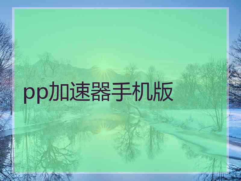 pp加速器手机版