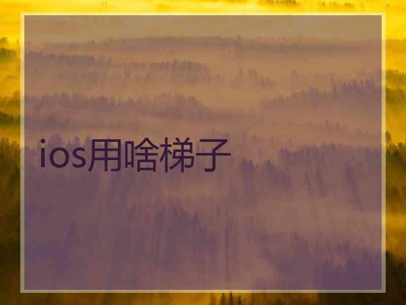 ios用啥梯子