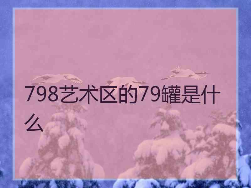 798艺术区的79罐是什么