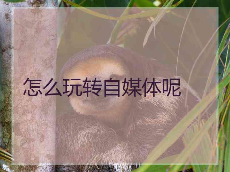 怎么玩转自媒体呢