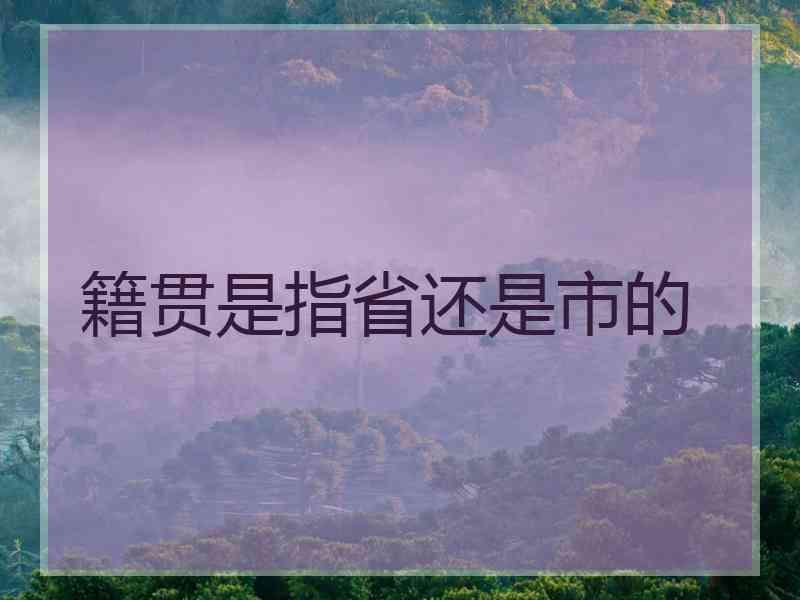 籍贯是指省还是市的