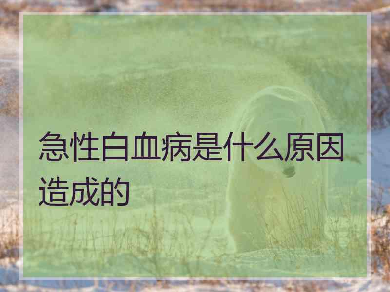 急性白血病是什么原因造成的