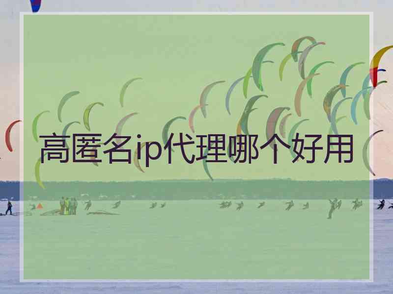 高匿名ip代理哪个好用