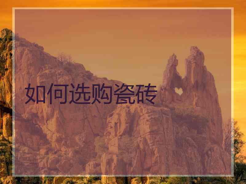 如何选购瓷砖