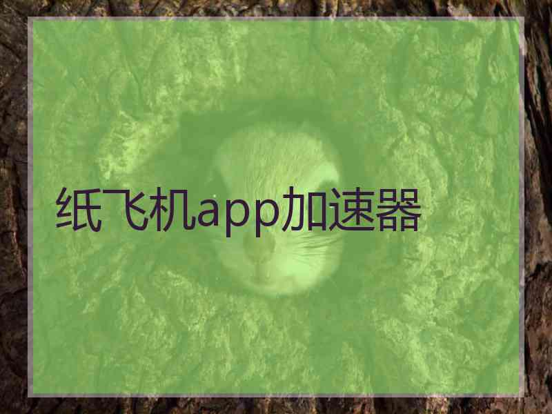 纸飞机app加速器