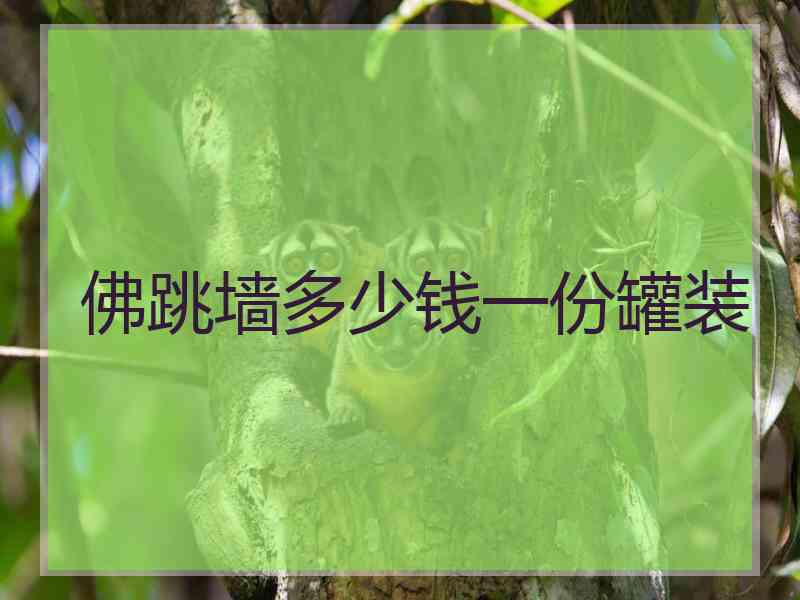 佛跳墙多少钱一份罐装