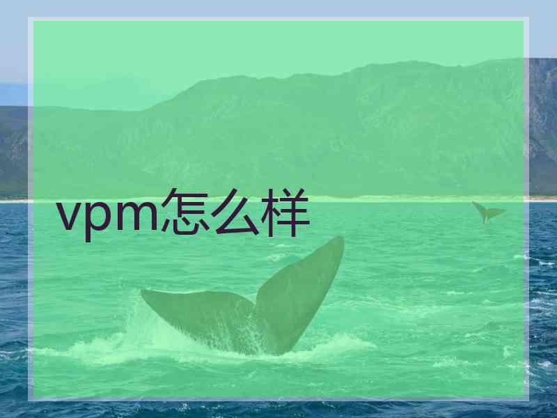 vpm怎么样